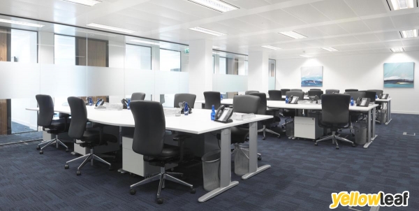Business Environment
