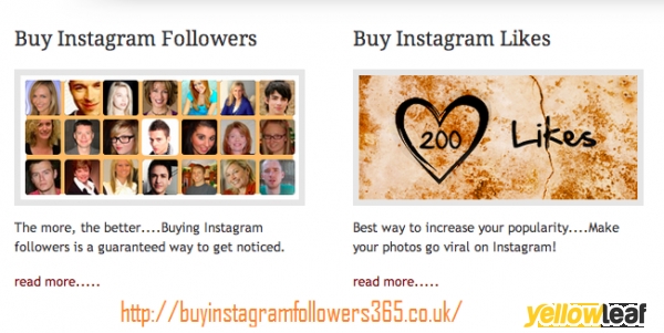 Buy Instagram Followers UK