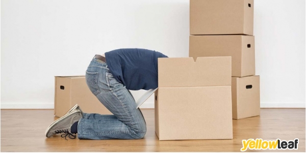 Removals London