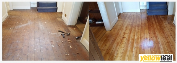 Alpha Floor Sanding