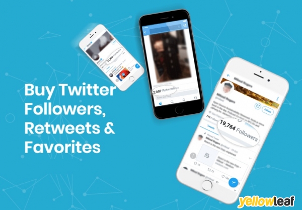 Social Media Monster