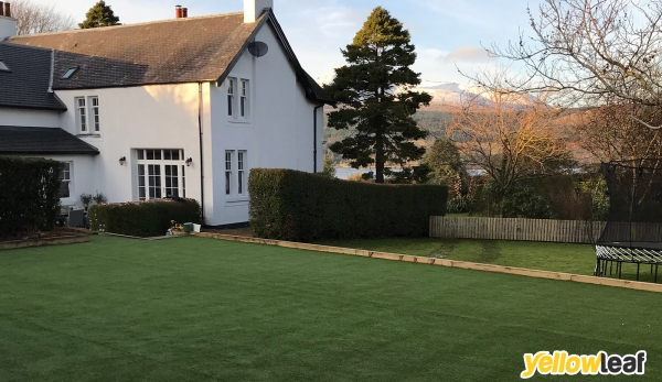 CY Artificial Grass