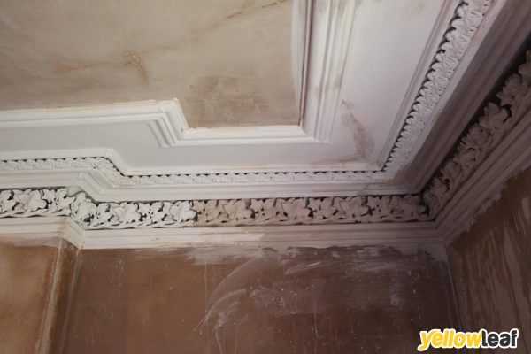 Scrim & Skim Plastering Services