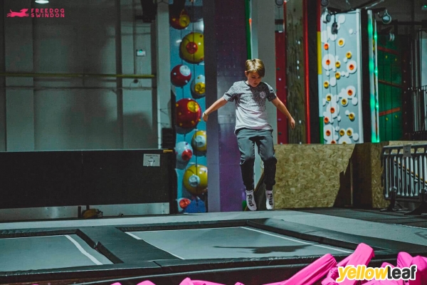 Freedog Swindon Soft Play and Indoor Activities