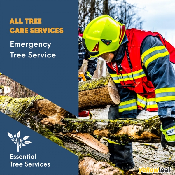 Essential tree services