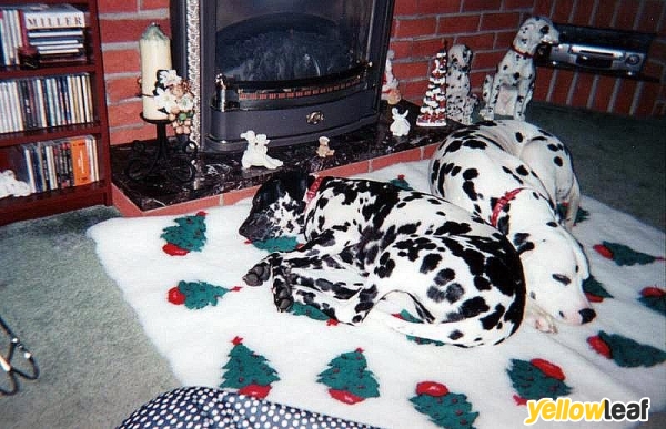 The Dog House Inn