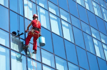Warrens Windows