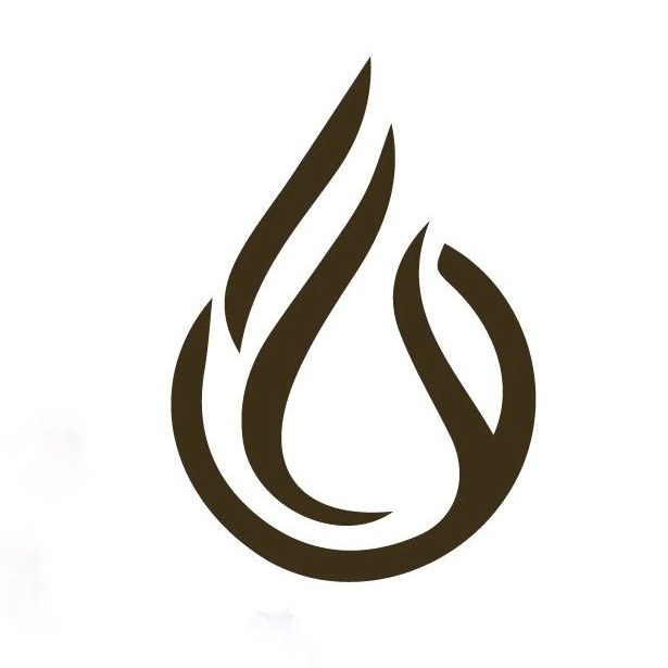 Firelux Holdings Ltd