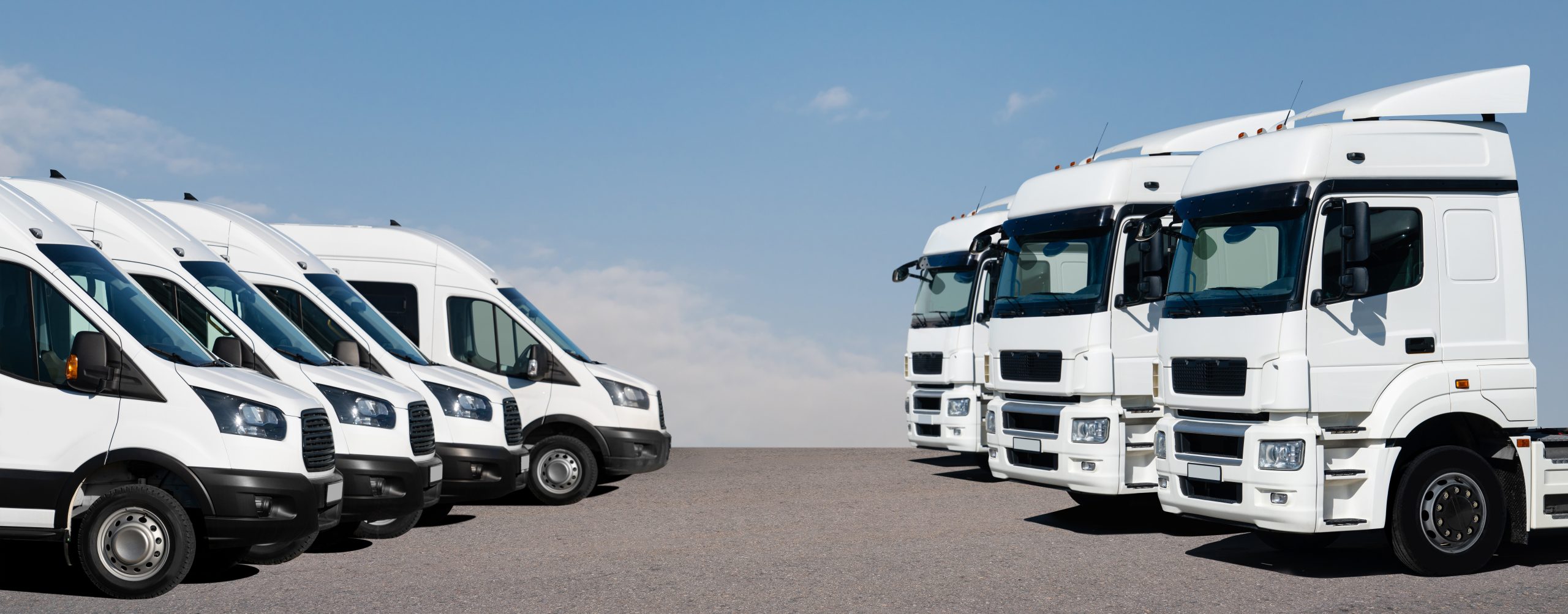 Redloh Transport Consultancy Services