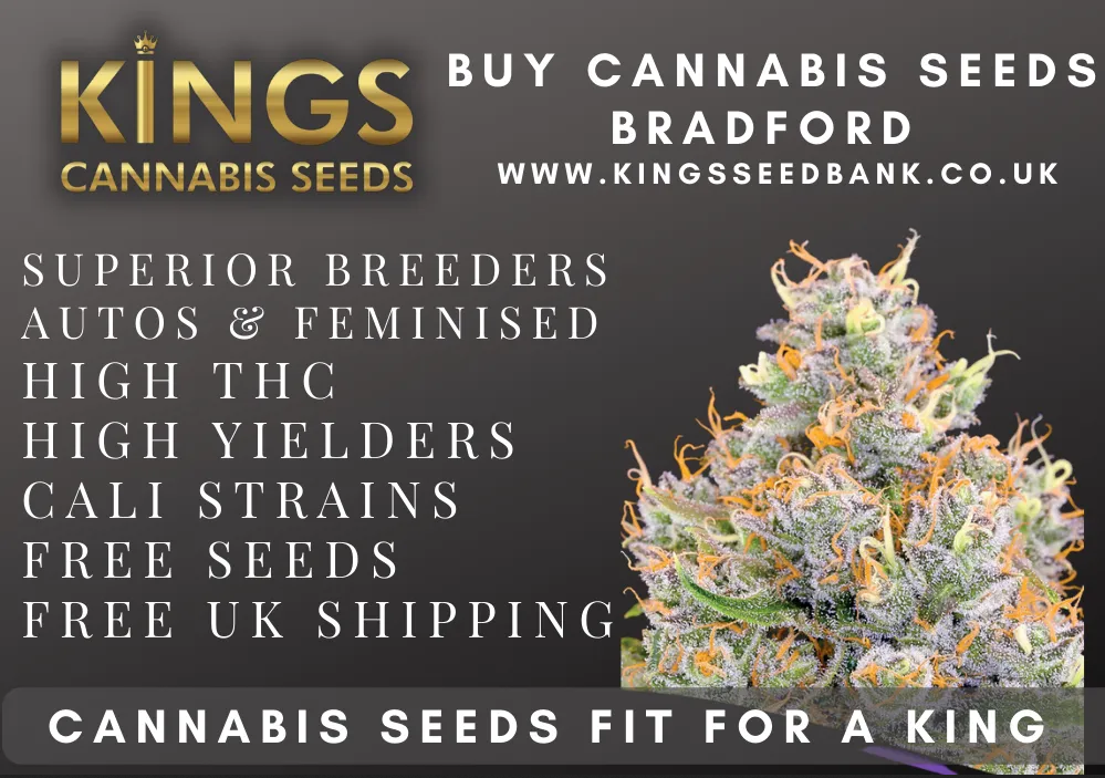 Kings Seedbank