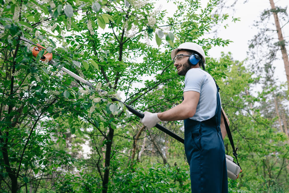 Nottingham Tree Surgeons