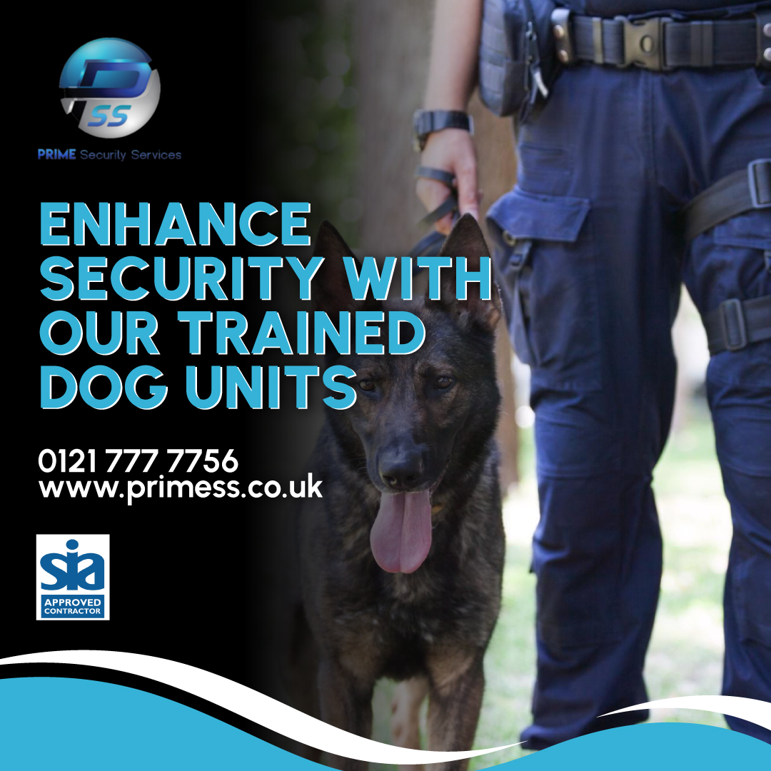 Prime Security Services Ltd