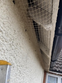 Evictem Pest Management