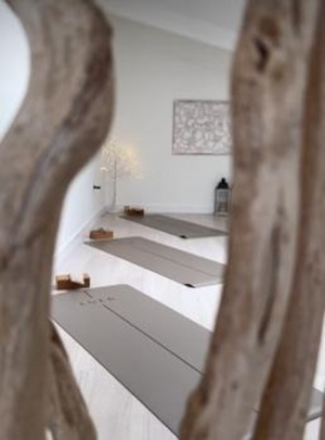 The Yoga Collaboration
