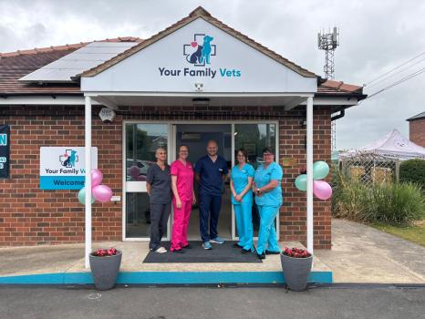 Your Family Vets