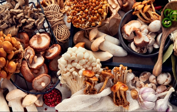 Urban Farm Mushrooms Ltd