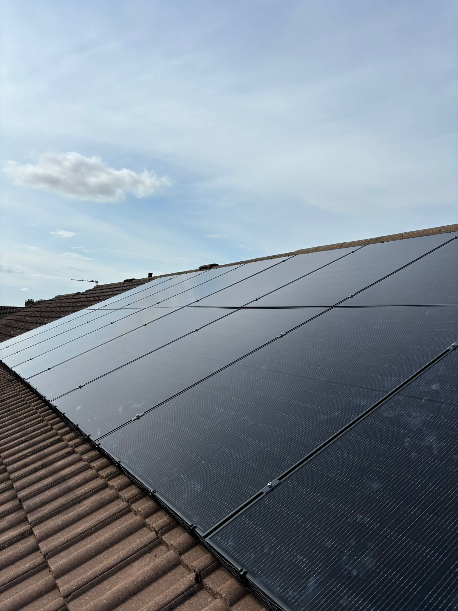 The Greener Roof Co