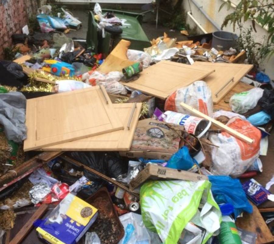 Border Extreme Cleaning