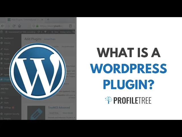 ProfileTree Web Design and Digital Marketing