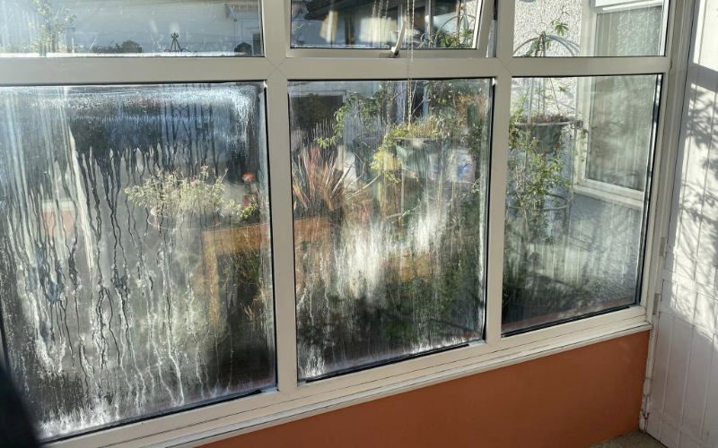 The Window Surgery