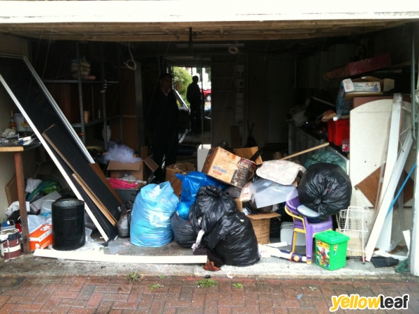 Junk Please
