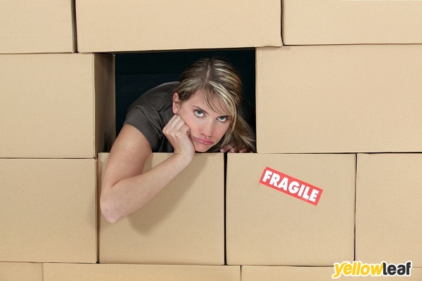 Removals Greenwich