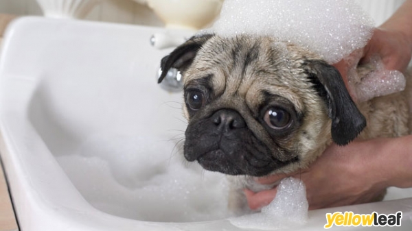 Pugs And Kisses Professional Dog Groomers