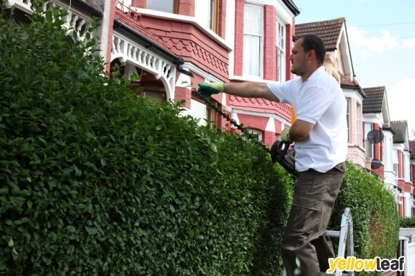 Gardening Services Swanscombe