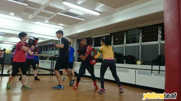 Moreno Boxing