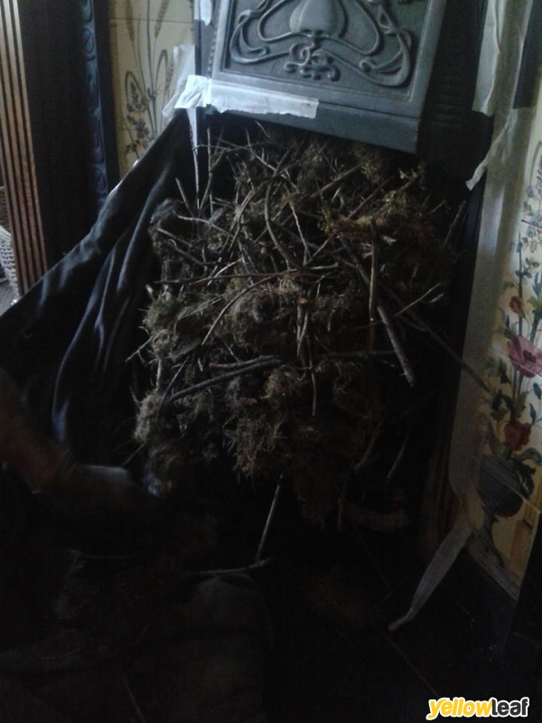 Jordans Chimney Cleaning