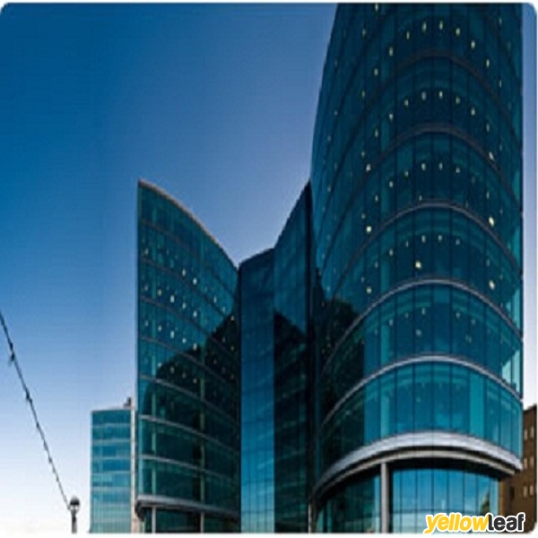 The Wholesale Glass Company