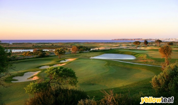 A Golfing Experience