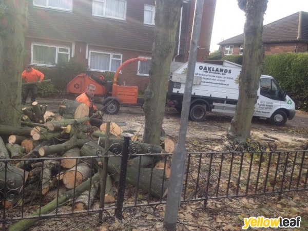 Oaklands Tree Specialists Ltd