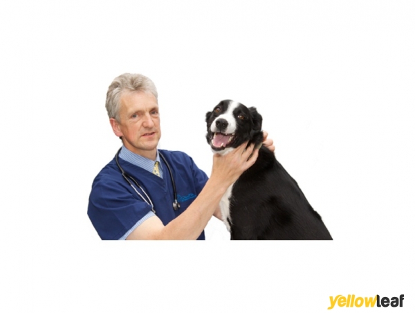Alphapet Veterinary Clinic