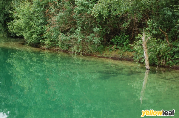 Divers Cove