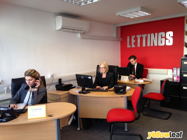 Taylors Lettings