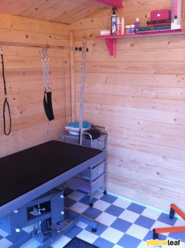 Glampooch Grooming Salon