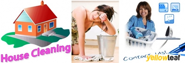 The Cleaning Biz Shoreham