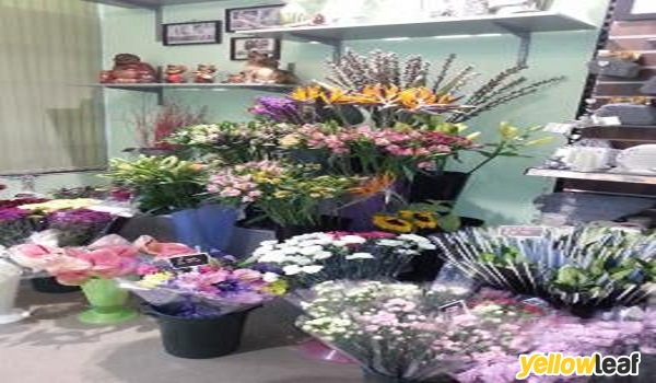 Blooms Florists