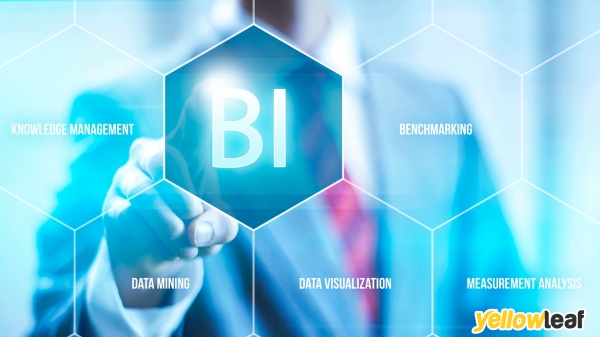 Business Intelligence Reports