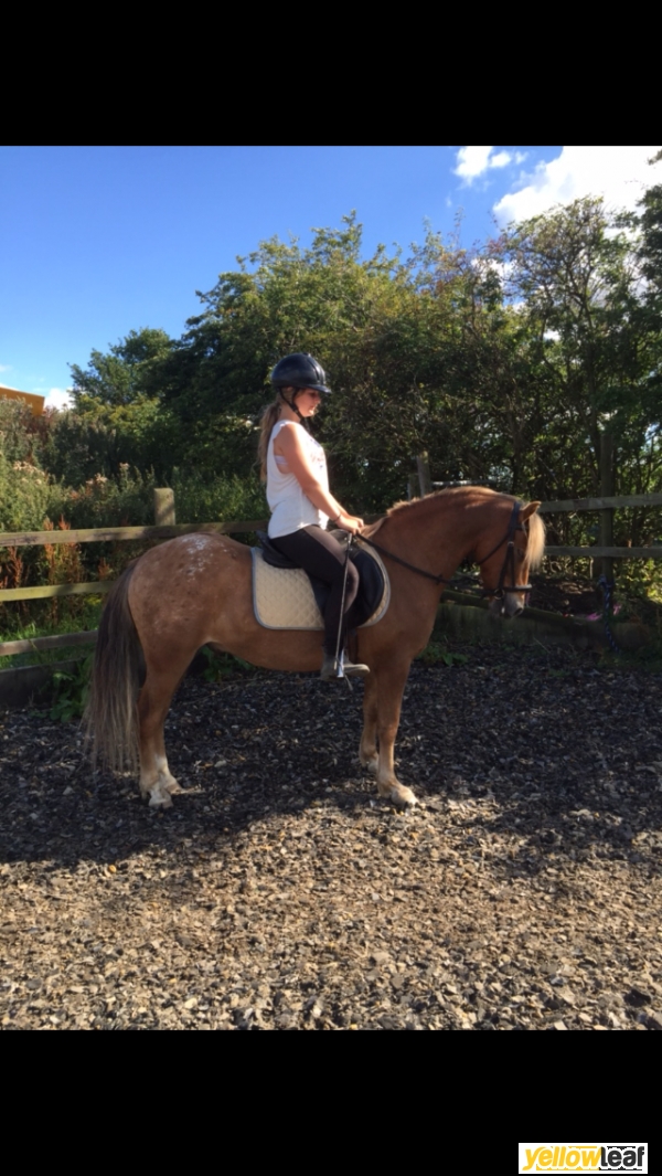 Rmc Equestrian Centre