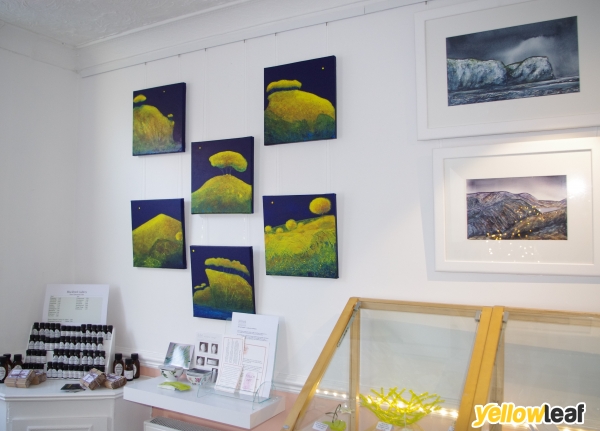 Blackbird Gallery