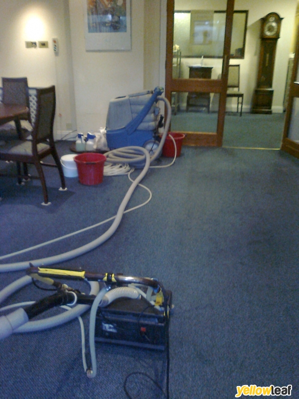 A1 Rex Carpet Cleaning Services