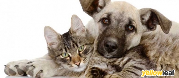 Veterinary Supplies - Vetlab Supplies Ltd