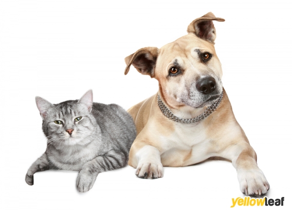 Pawsplaza.co.uk