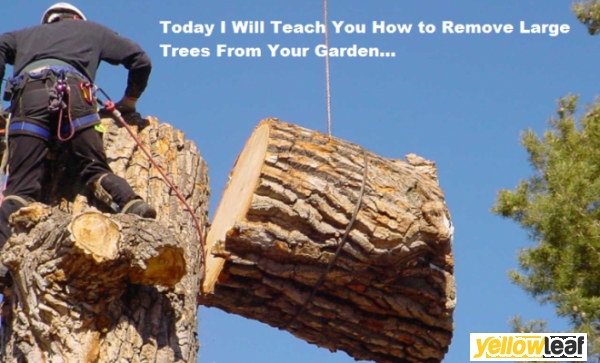 Gardenbusters Ltd