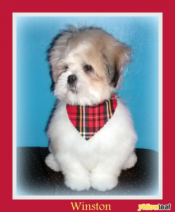 Mutley Makeovers