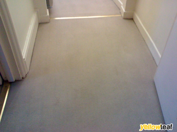 Franco's Carpet Cleaning Service
