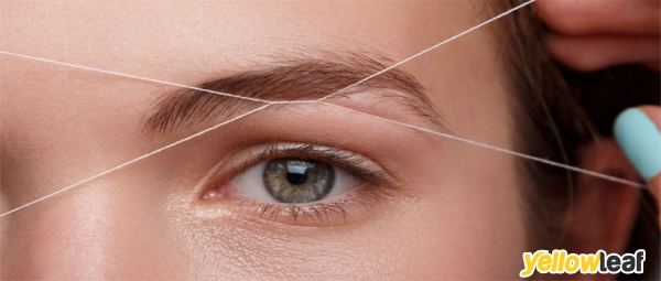 Zeebrow lash & beauty services