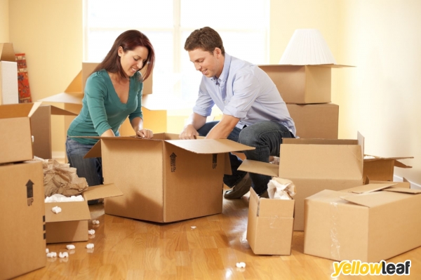 Neat Removals